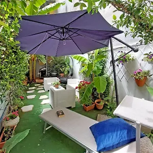 Luxury Domus Apartment